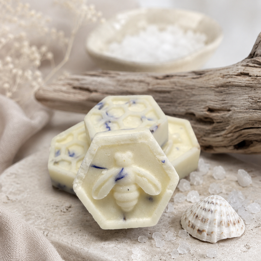 The Salt Marsh By The Sea | Botanical Wax Melts